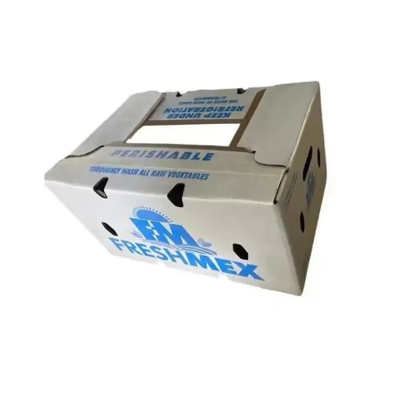 Why Choose Biodegradable Wax Paper Box for Sustainable Packaging Solutions?